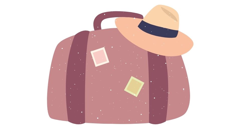 bag illustration
