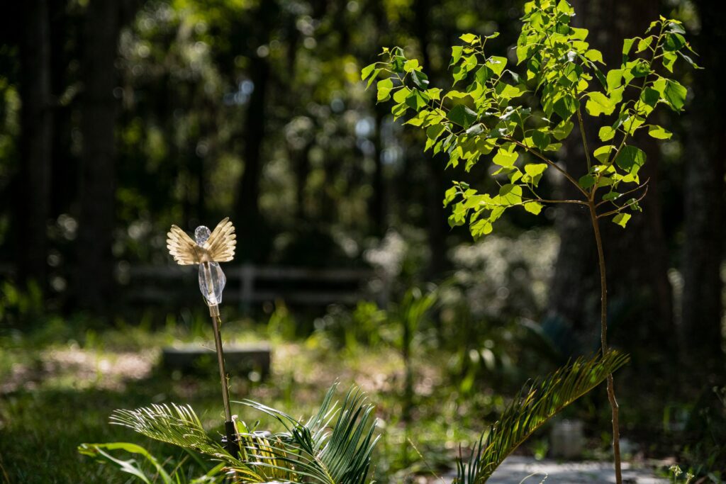 daufuskie island park