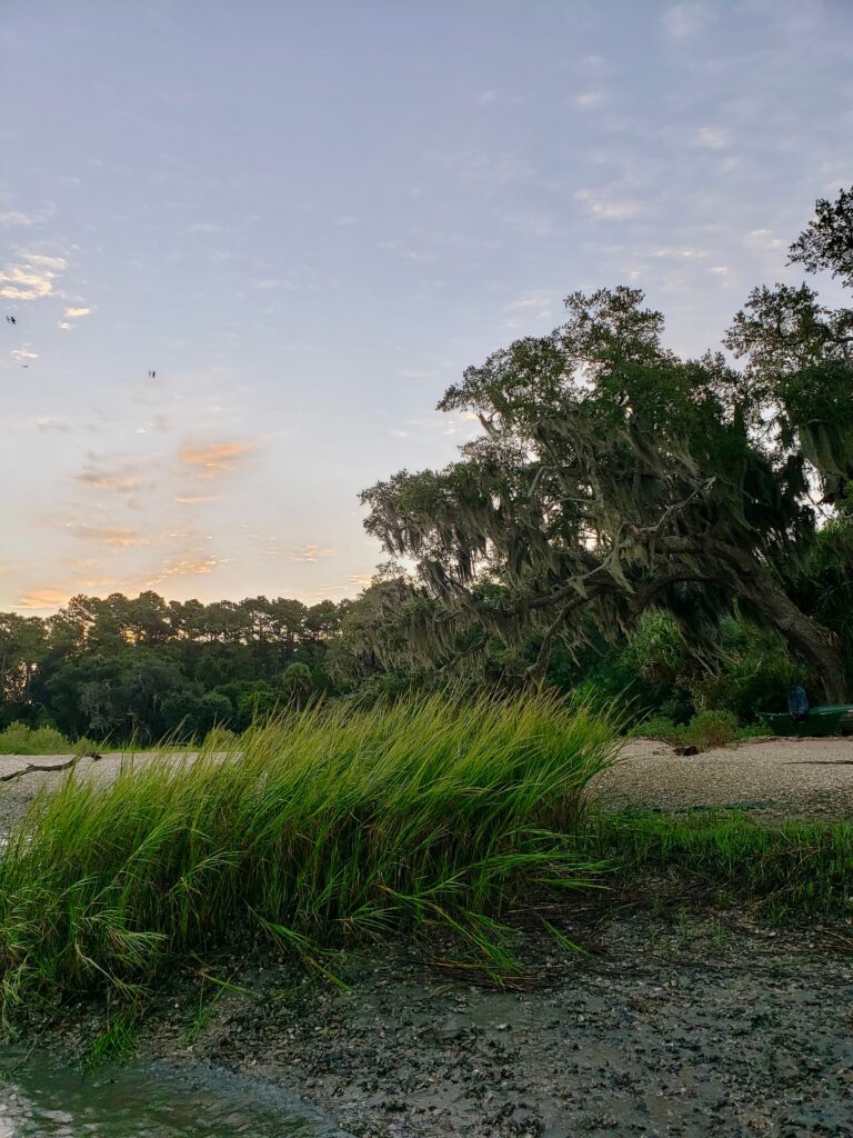 Kayak & Paddleboard Rentals on Daufuskie Island: What You Should Know