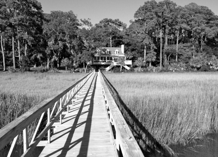 Visit the Daufuskie Island Community Farm: A Hidden Gem Experience