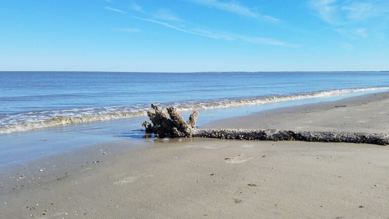 Best Beaches (Including the Secret Ones) on Daufuskie Island