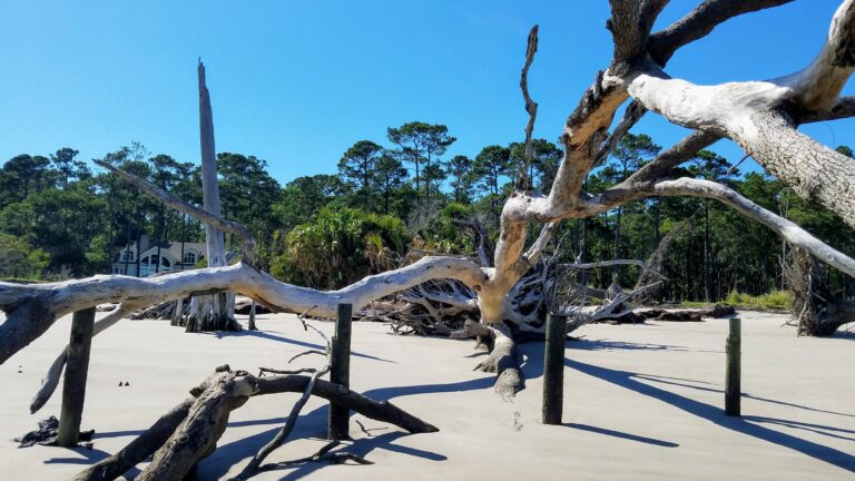 How to Rent a Golf Cart Daily on Daufuskie Island