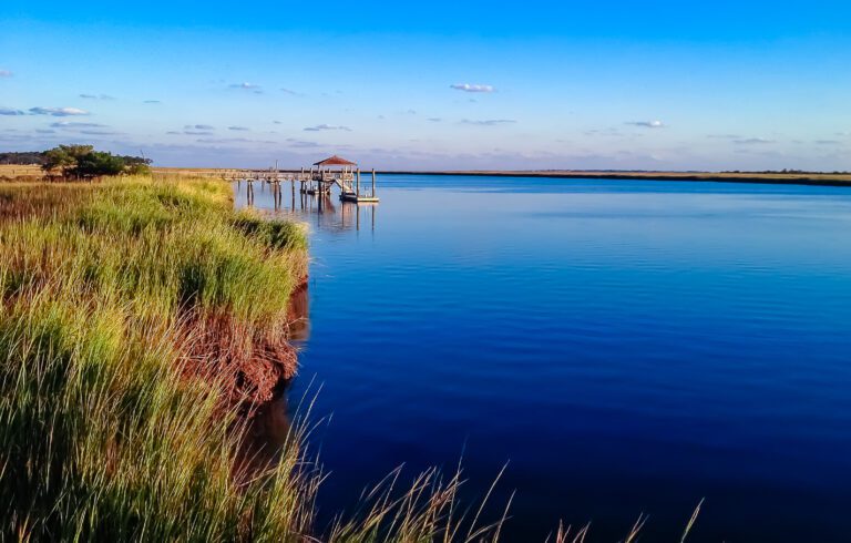 Your Complete Guide to Daufuskie Island Ferries & Water Taxis