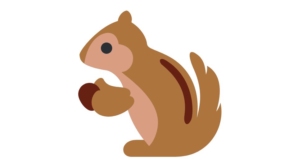 squirrel
