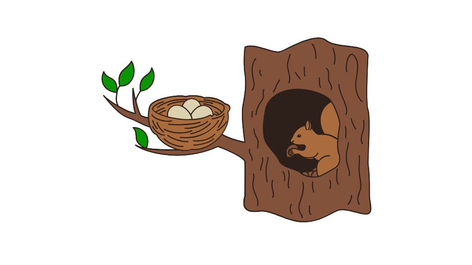 squirrel