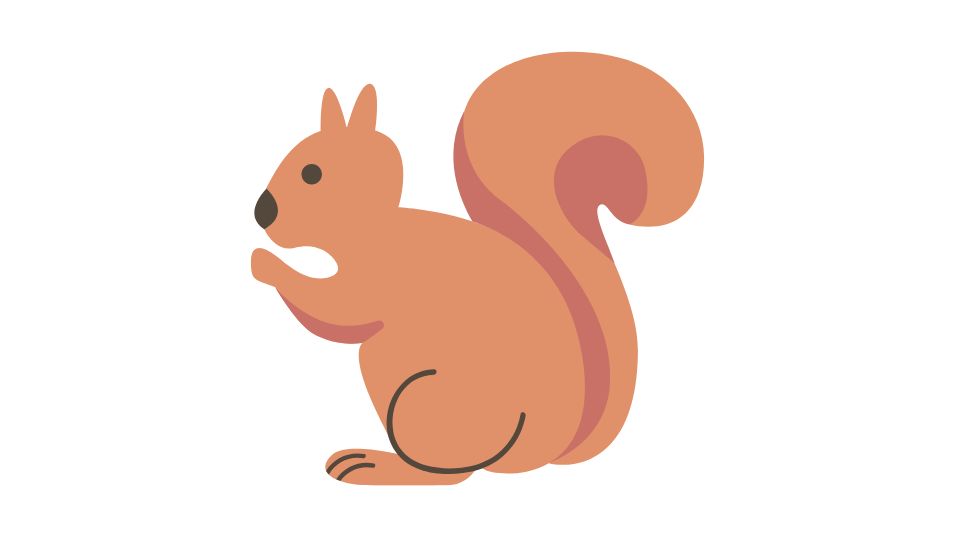 squirrel