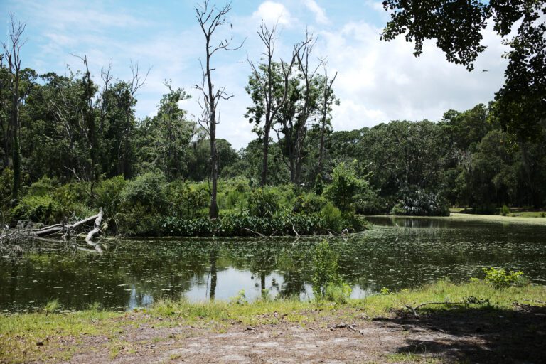 Top Vacation Rentals on Daufuskie Island for Every Budget