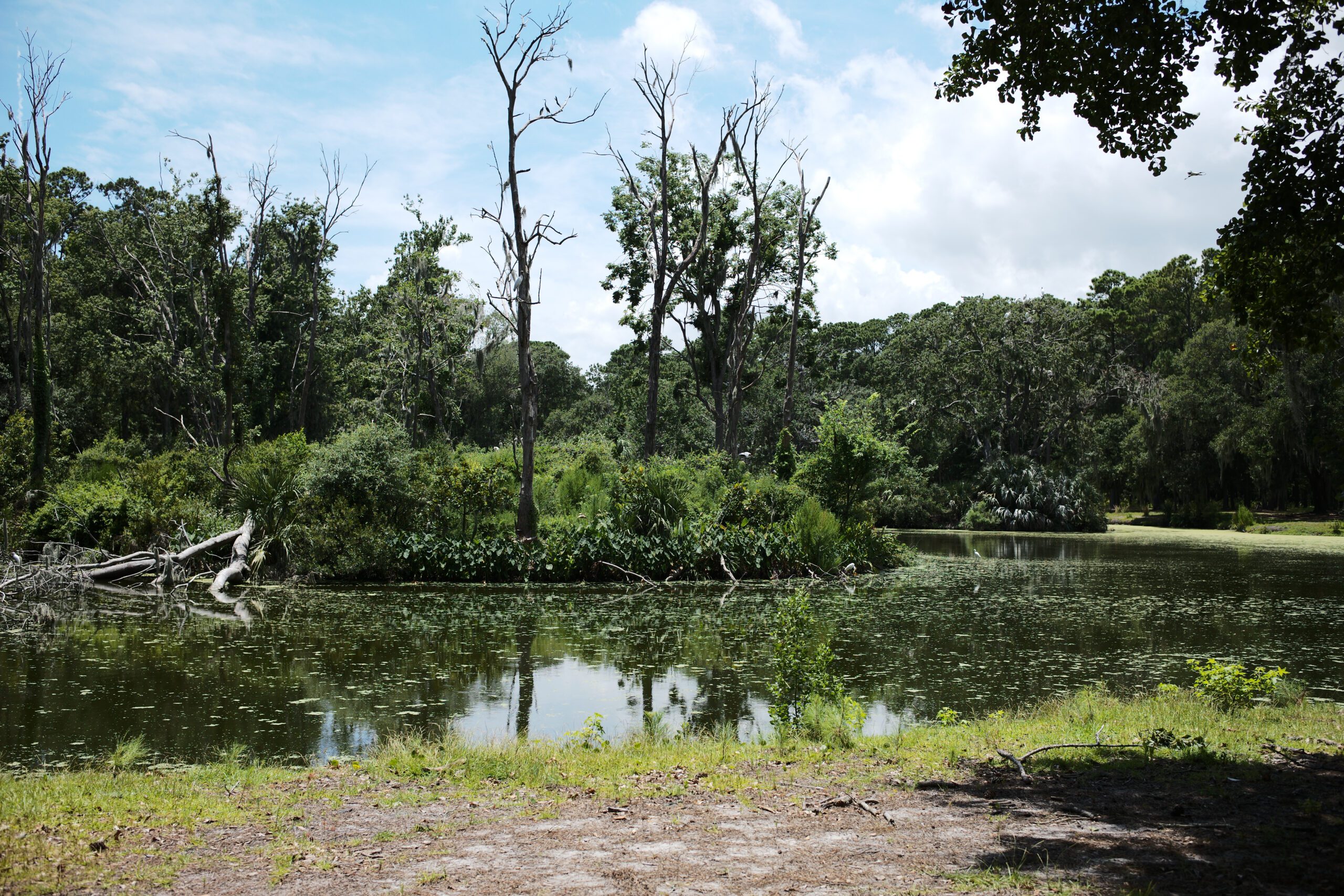 daufuskie island water