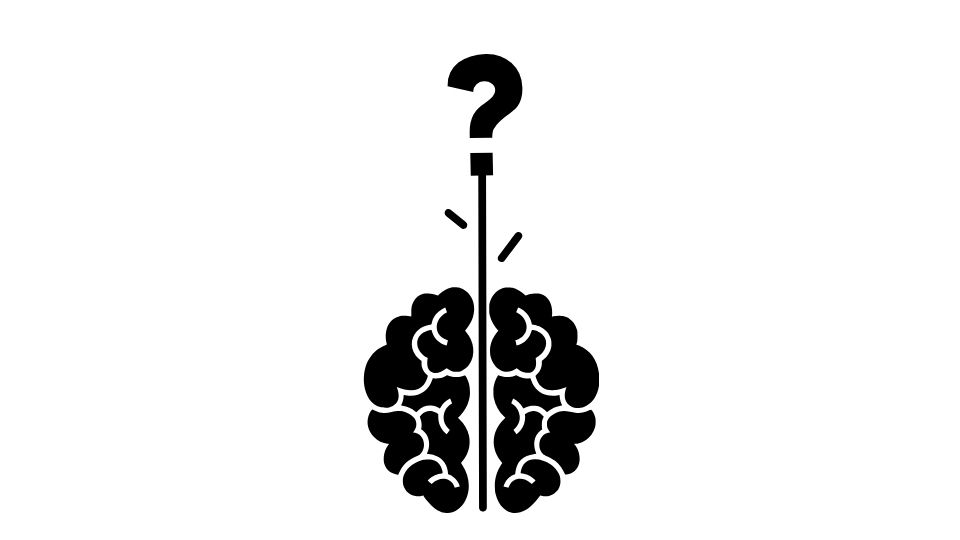 your brain