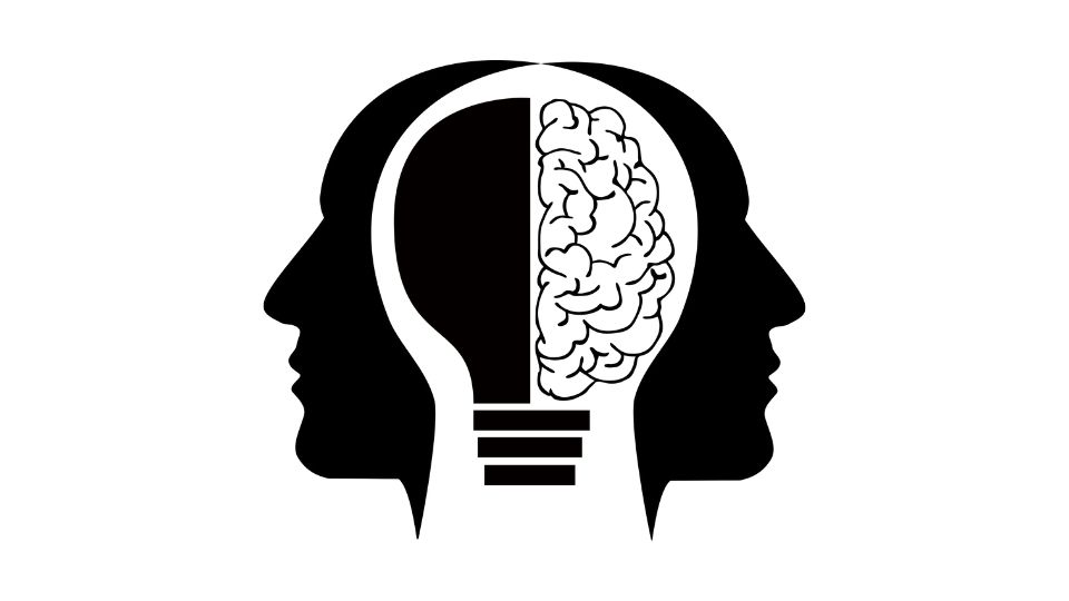 your brain