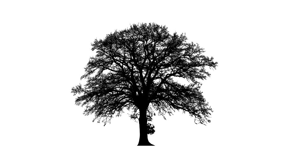 dramatic illustration