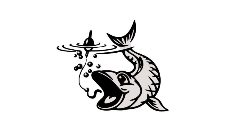 Where to Book Fishing Charters on Daufuskie Island