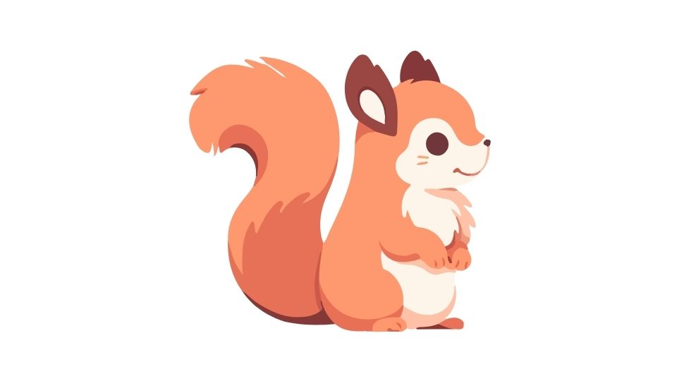 squirrel