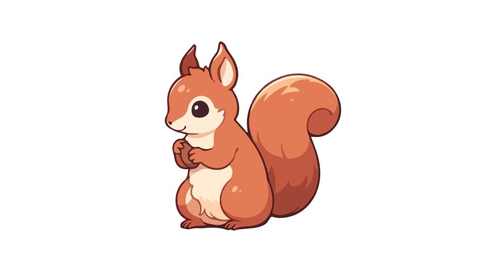 squirrel