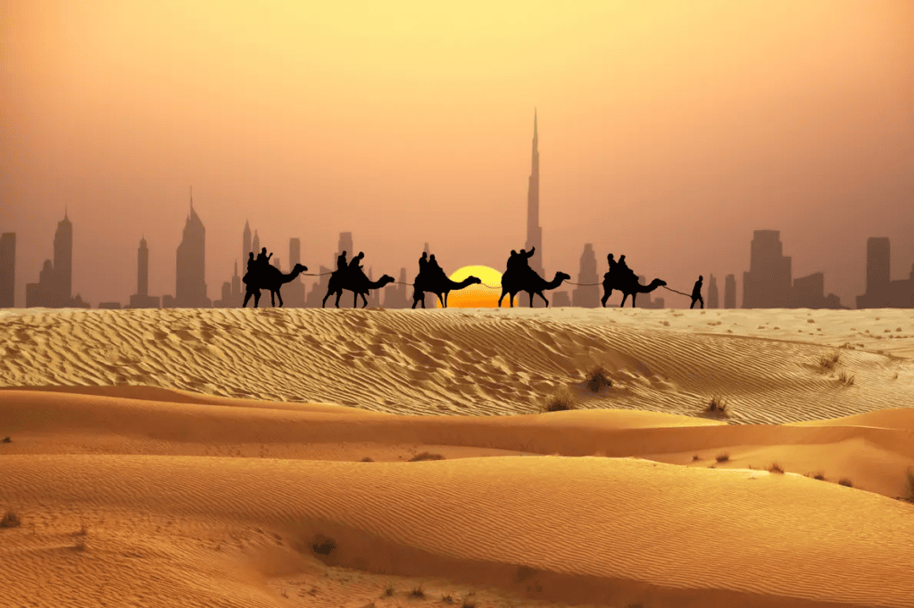 https://www.triphabibi.com/ , Desert Safari in Dubai by Trip Habibi) On the Face of the photo written Desert Safari Dubai, with Yellow Colour.